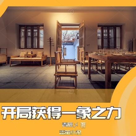 四合院开局获得一象之力