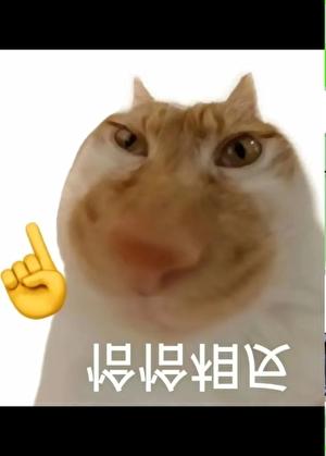 长生种开启了猎人朋友圈 炘光续昼