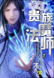 法师贵族领主类型