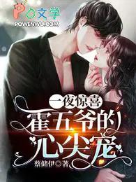 一夜惊喜 霍念念