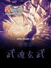 斗罗之武魂玄武能反弹