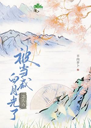 拐个太傅当相公古装剧