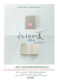 北北的夏讲的是什么