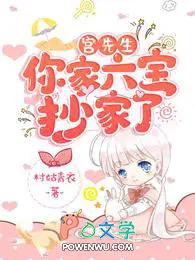 宫先生你家六宝抄家了免费