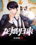 龙婿免费