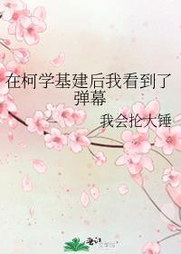 在柯学基建后我看到了弹幕txt