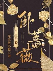 半生丹心卧蔷薇全文阅读最新章节更新