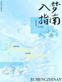 入梦txt