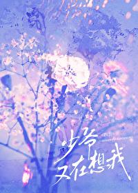 少爷又在想我晋江