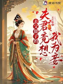 去父留子的夫君竟想我为妾免费阅读