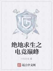 绝地求生之电竞巅峰全文免费阅读