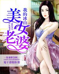 我的冰山美女老婆在线阅读