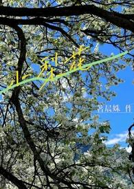 小梨花(校园h 1V1)新