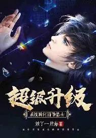 超强升级系统等级划分