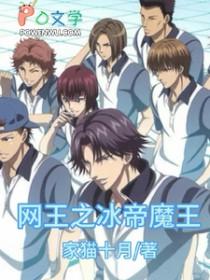 网王之冰帝集