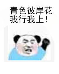 最强鬼怪公敌在线阅读
