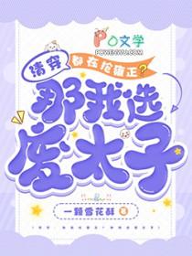 清穿都在抢雍正?那我选废太子免费阅读