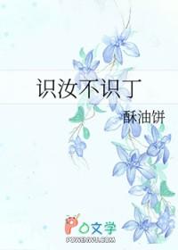 识汝不识丁全文