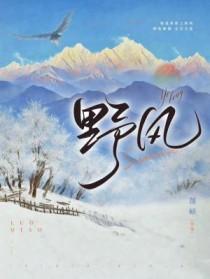 野风是什么意思