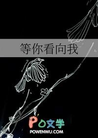 歌词等你来看我