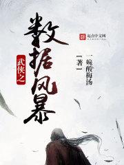 武侠之数据风暴 免费阅读