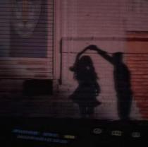 山鸟与鱼不同路