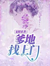 沐晴天景司寒246章