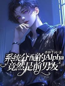 系统分配婚姻的