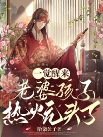 一觉醒来老婆孩子热炕头了作者十七公