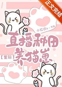 直播种田养猫崽星际小红衣TXT