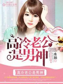 高冷老公呆萌妻