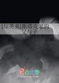 综英美斯塔克家的父与子免费