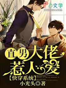 大佬的(快穿系统)