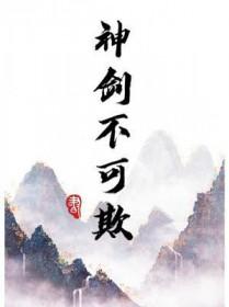 神剑不可欺免费阅读