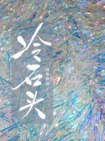 冷石头by四维棱镜讲的什么