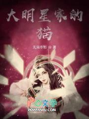 大明星犬舍猫舍宠物市场