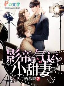 影帝的小老婆