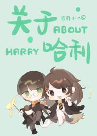 HP关于哈利