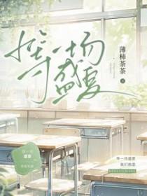 等一场盛夏讲了什么