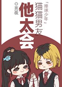 排球少年猫控少女的日常
