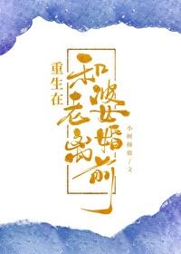 重生在和老婆离婚前作者小树撞鹿
