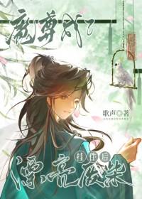 魔尊成了漂亮废柴挂件后txt