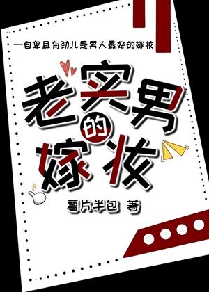 老实男的嫁妆晋江文学