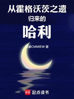 从霍格沃茨之遗归来的哈利TXT