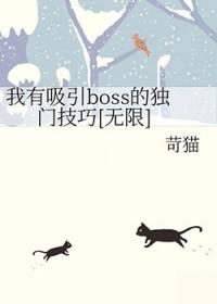 我有吸引boss的独门技巧无限苛猫