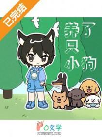 养了一只狗又带回来一只