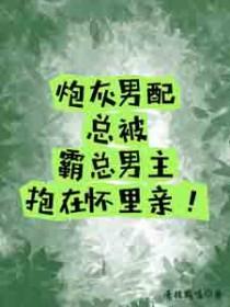 炮灰男配主受文