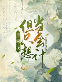 重生回古代但只想当会计by小伙陈小火