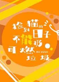 捡到猫会不会不吉利