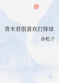 排球少年木兔结局